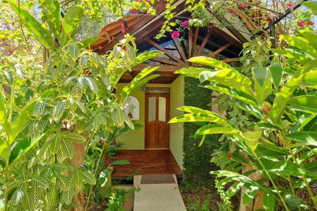 Anamaya